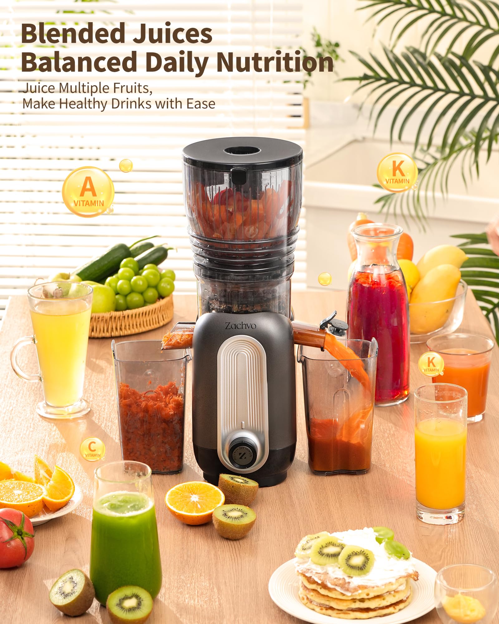 Zachvo-NUTRI-F-MP802M-Black