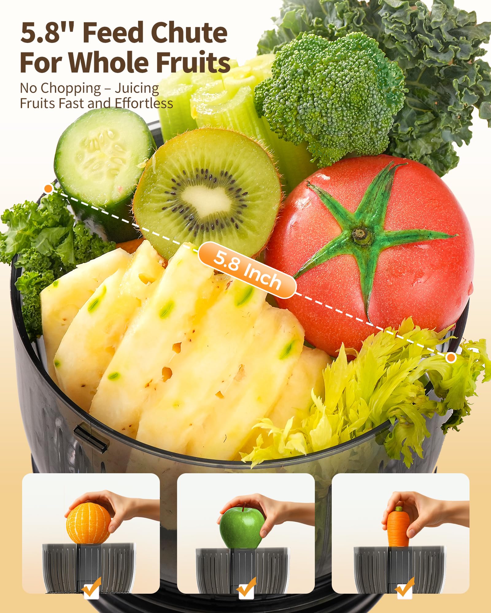 Zachvo-NUTRI-F-MP802M-Black