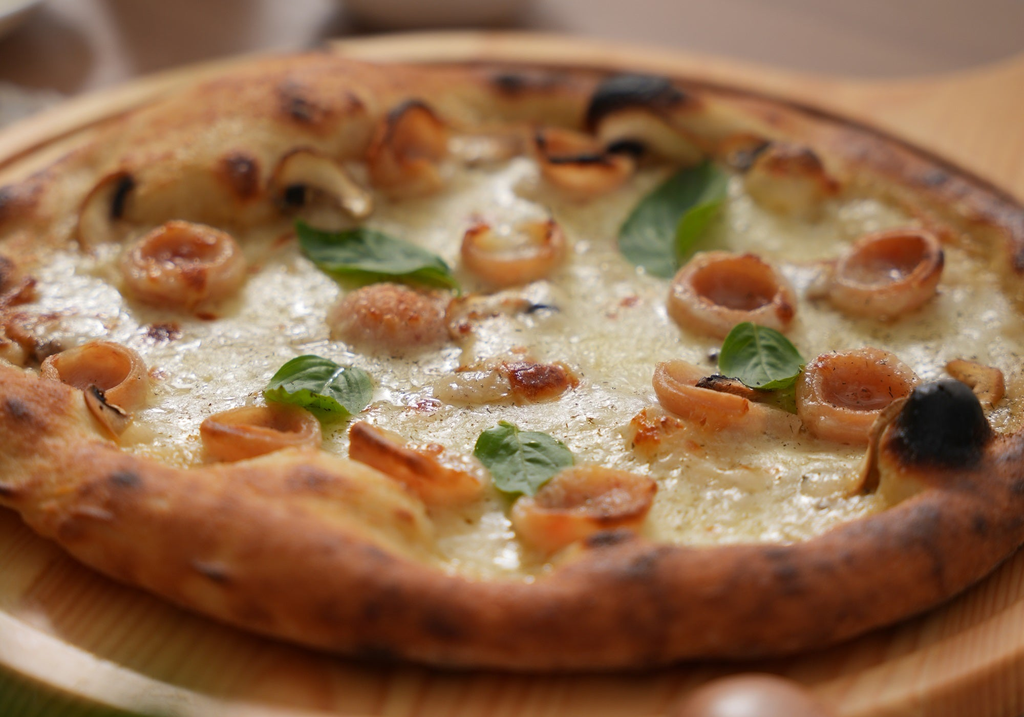 Forest Rustic Pizza Recipe | Hand-Kneaded Artisan-Style Pizza