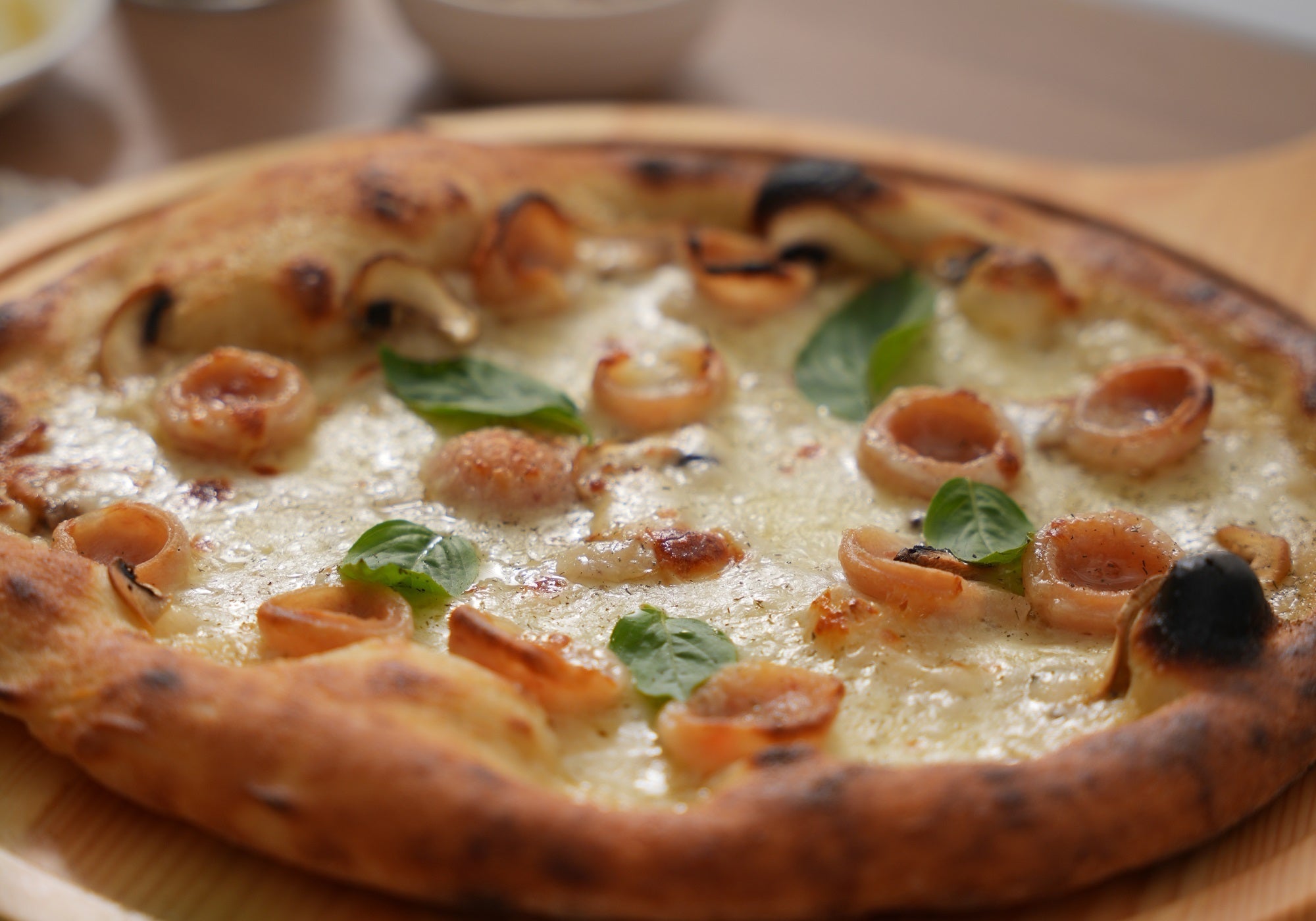 rustic pizza recipe, hand kneaded pizza dough, artisan style pizza, Zachvo pizza oven recipes, HF-1201BK dough recipe, crème fraîche pizza, salami pizza rustic, homemade rustic pizza, high heat pizza recipe