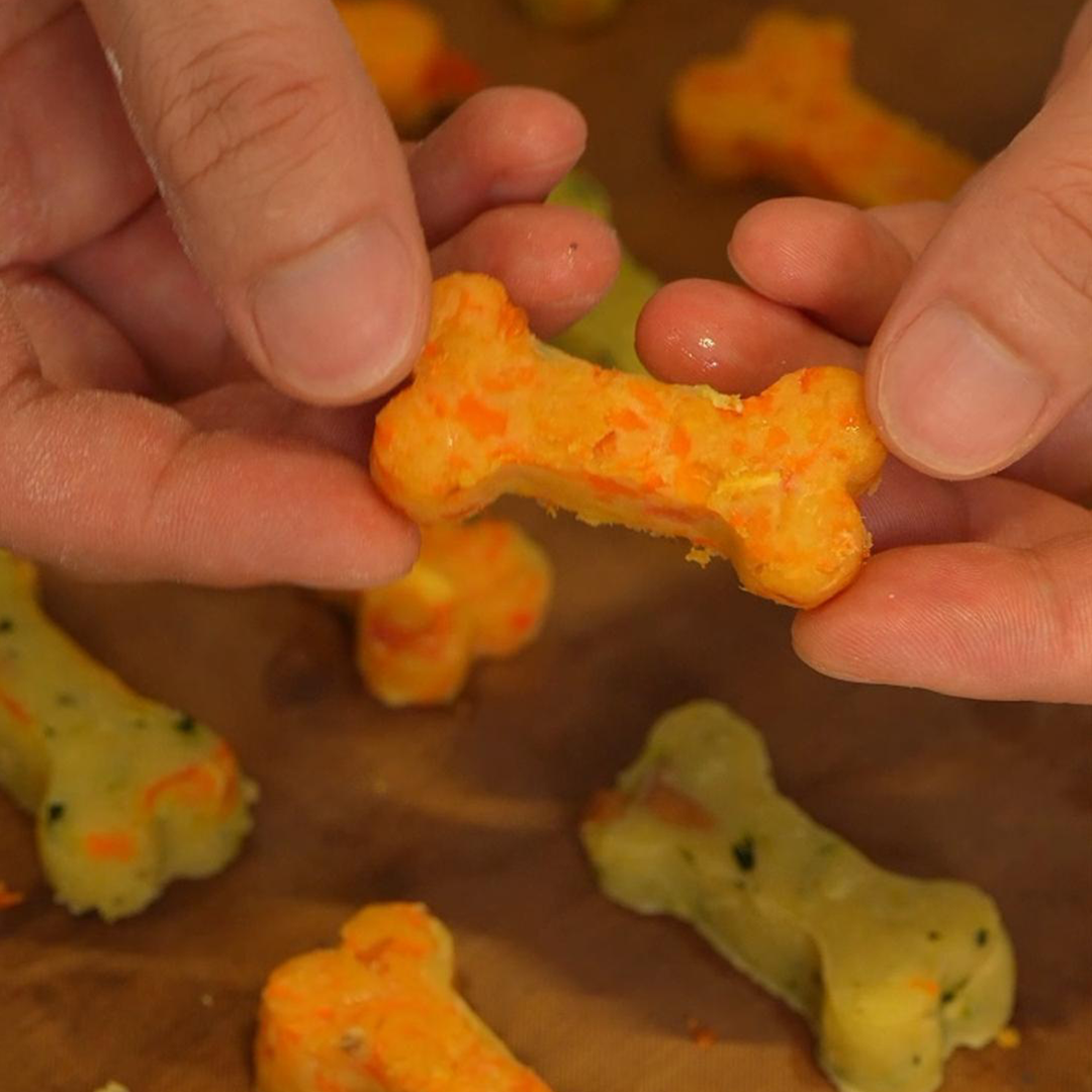 homemade dog biscuits, fruit and vegetable dog treats, pet biscuits, homemade pet treats, dog training treats, healthy dog snacks, Zachvo slow juicer recipes, Zachvo pizza oven recipes, pet treats made with slow juicer pulp