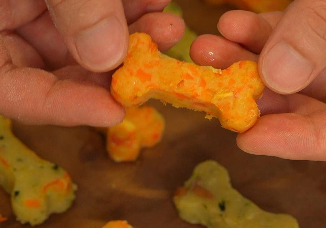 homemade dog biscuits, fruit and vegetable dog treats, pet biscuits, homemade pet treats, dog training treats, healthy dog snacks, Zachvo slow juicer recipes, Zachvo pizza oven recipes, pet treats made with slow juicer pulp